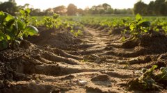 土壤养分测定仪推动传统农业转型