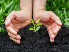 测土配方施肥仪能够检测土壤健康程度
