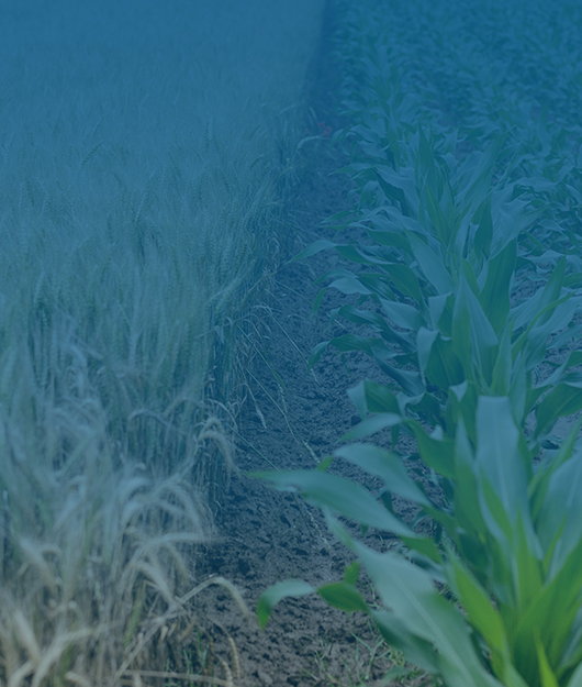 2025 国产肥料养分检测仪市场竞争力排名出炉 五大品牌重塑行业格局