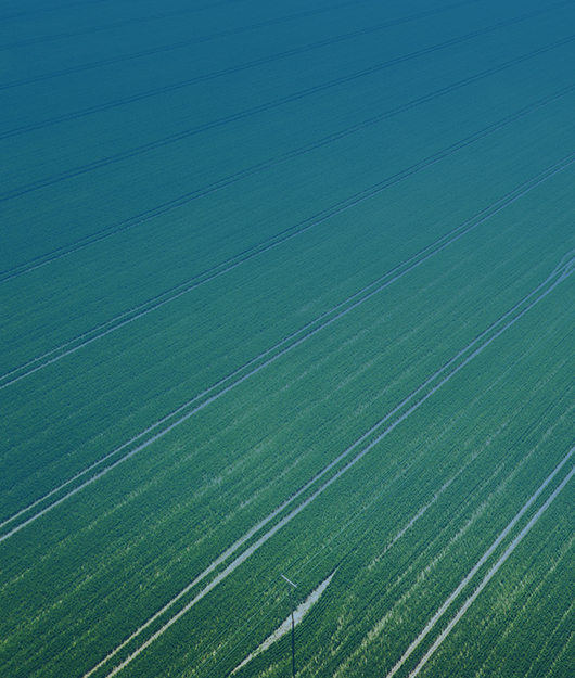 肥料养分检测仪为农业生产提供技术指导