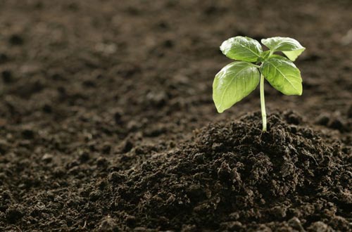 土壤肥料养分检测仪