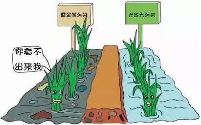 土壤重金属检测仪